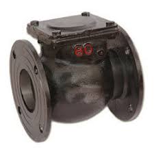 Cast iron non-return valve